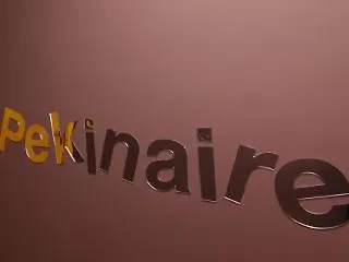 El Pekinaire Oda ve Kahvaltı 2*